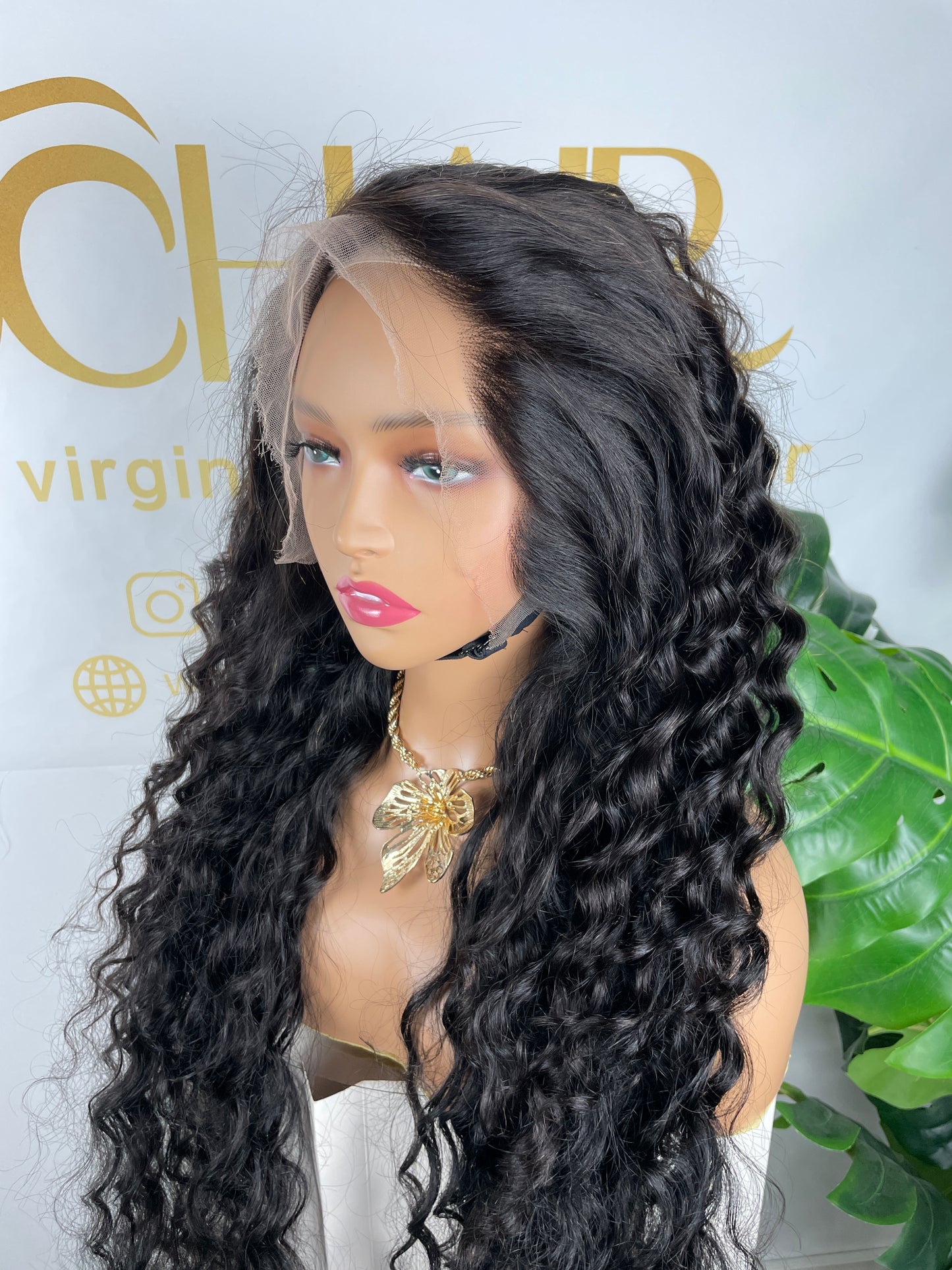 Top Burmese Virgin Hair 13x4 13x6 HD Full Frontal Wig - Loose Curly #1B
