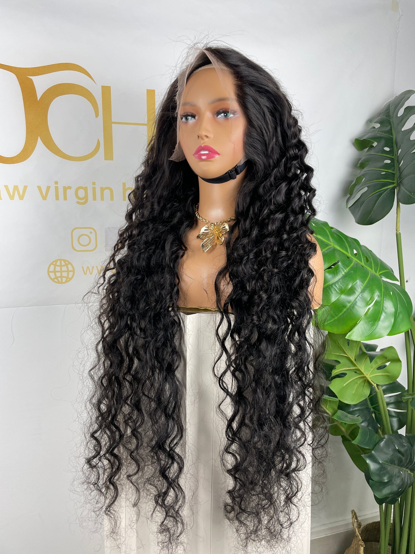 Burmese Virgin Hair 13x4 13x6 HD Full Frontal Wig - Loose Curly #1B