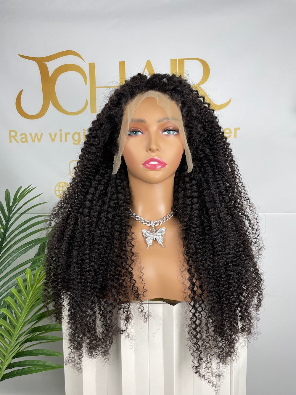 Top Burmese Virgin Hair 13x4 13x6 HD Full Frontal Wig - Jerry Curly #1B