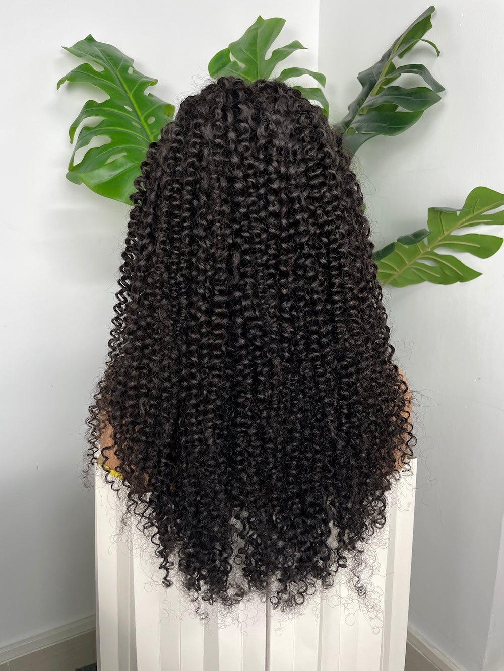 Top Burmese Virgin Hair 13x4 13x6 HD Full Frontal Wig - Jerry Curly #1B