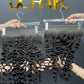 Top Virgin Indian Curly HD Lace Closure & Frontal #1B