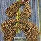 Twist human bulk hair #30 BC